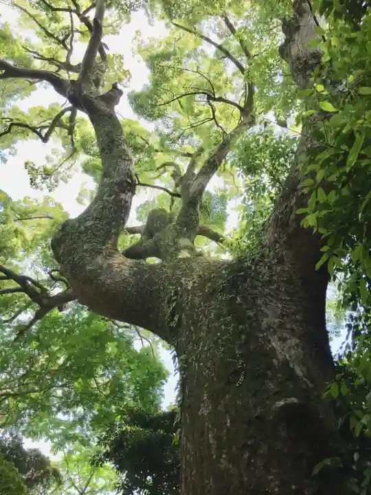 葭原神社(皇大神宮末社)(三重県)