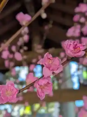 赤坂氷川神社(東京都)