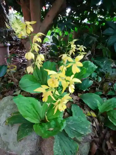 天開稲荷社の自然