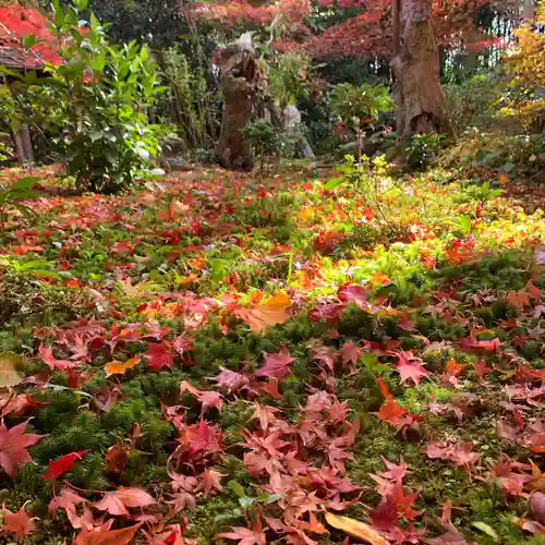 厭離庵(京都府)