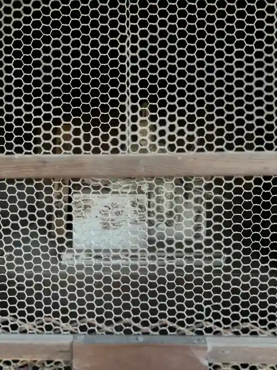 大宮諏訪神社(長野県)