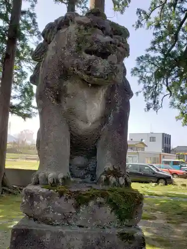 示野神明宮の狛犬