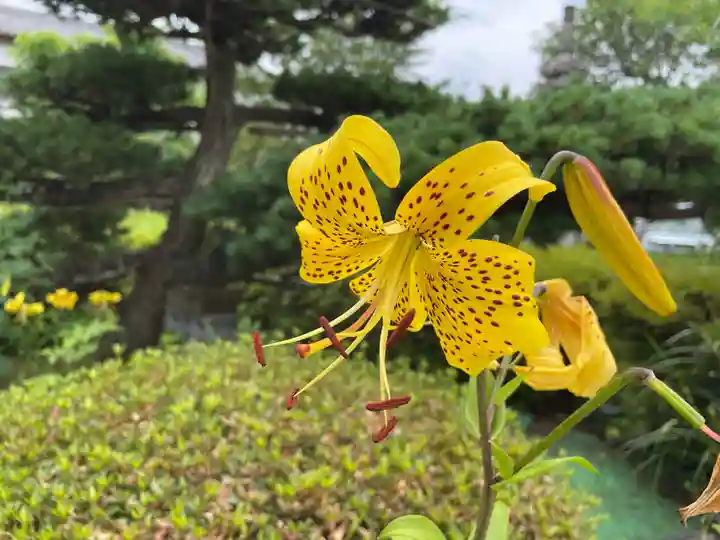 岩槻大師彌勒密寺(埼玉県)