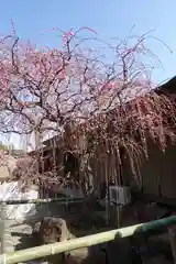 菅原天満宮（菅原神社）(奈良県)