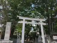 大鳥神社の鳥居