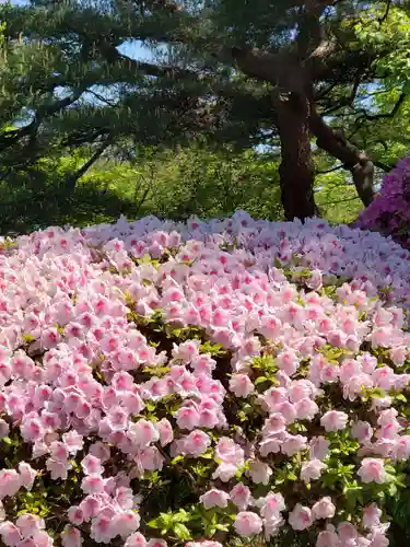 開成山大神宮の自然