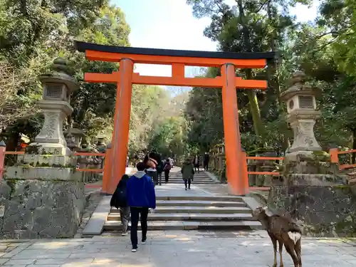 春日大社の鳥居