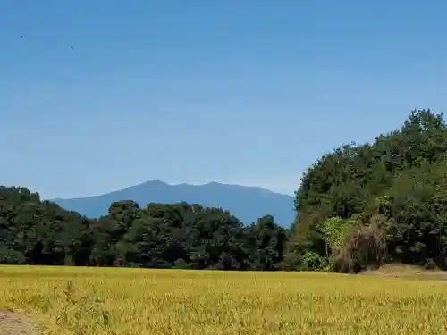 高屋敷稲荷神社の景色