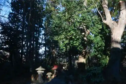 阿久津「田村神社」（郡山市阿久津町）旧社名：伊豆箱根三嶋三社の末社・摂社