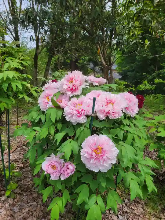 隆国寺(兵庫県)