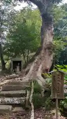 一ノ矢八坂神社(茨城県)