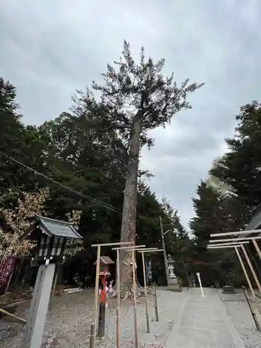 滑川神社 - 仕事と子どもの守り神(福島県)