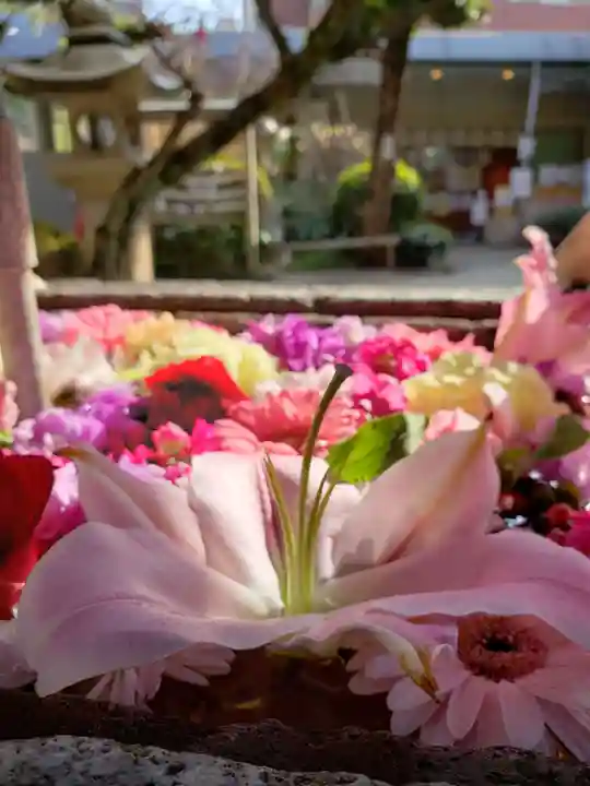 鳩森八幡神社の手水舎