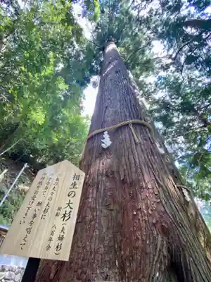丹生川上神社（中社）(奈良県)