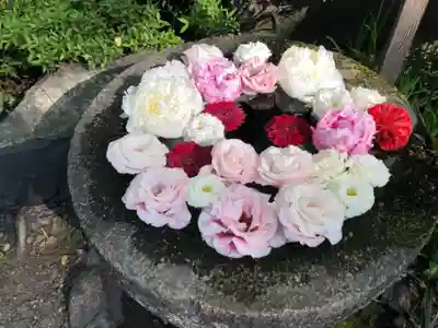 子安神社の手水舎