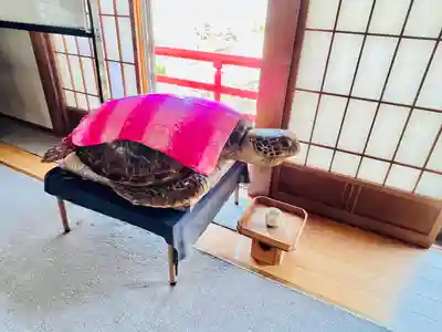 長光寺(長野県)