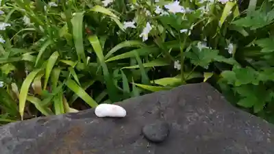 大将軍八神社(京都府)