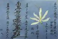 谷中 妙福寺の御朱印