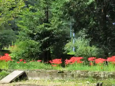 賀羅加波神社(広島県)