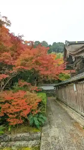 鍬山神社(京都府)