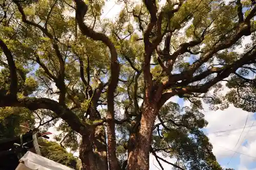 艮神社(広島県)