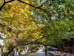 向日神社の建物その他