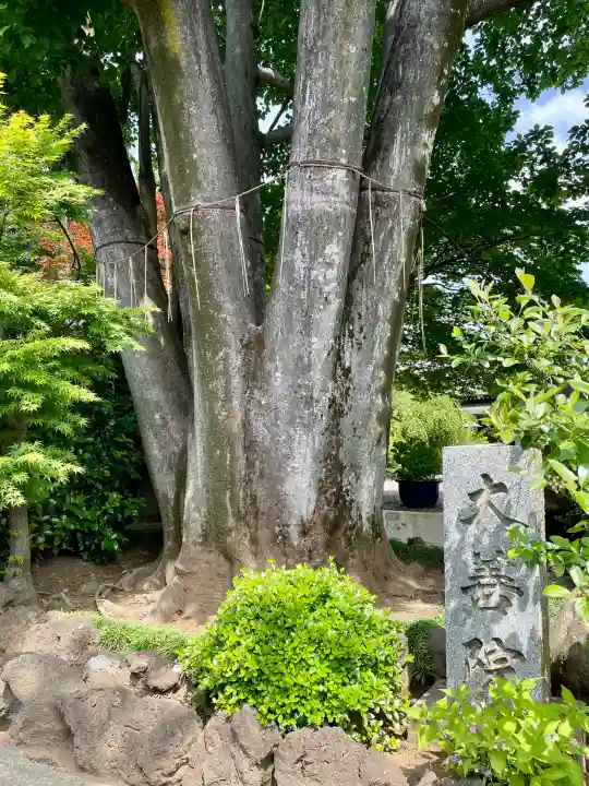 大善院(東京都)