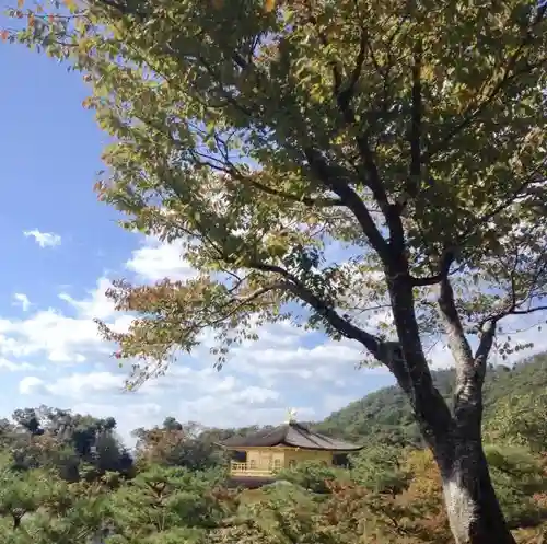 鹿苑寺（金閣寺）の庭園