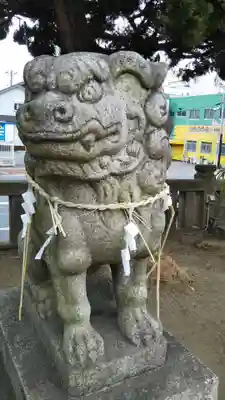 白幡神社の狛犬