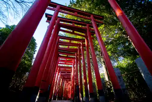 根津神社の鳥居