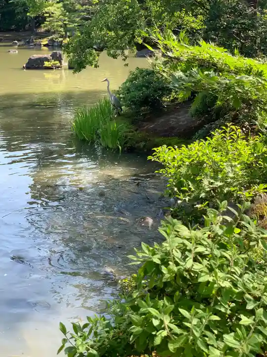 鹿苑寺(金閣寺)(京都府)
