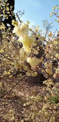 遍照院(埼玉県)