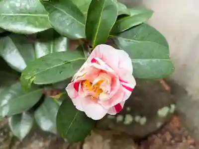 崇道天皇社(奈良県)