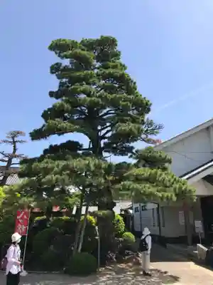 日吉山王社(愛知県)