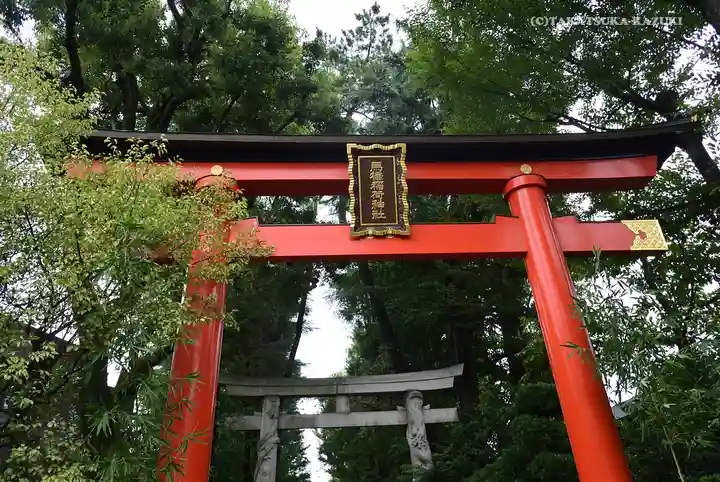 馬橋稲荷神社の鳥居