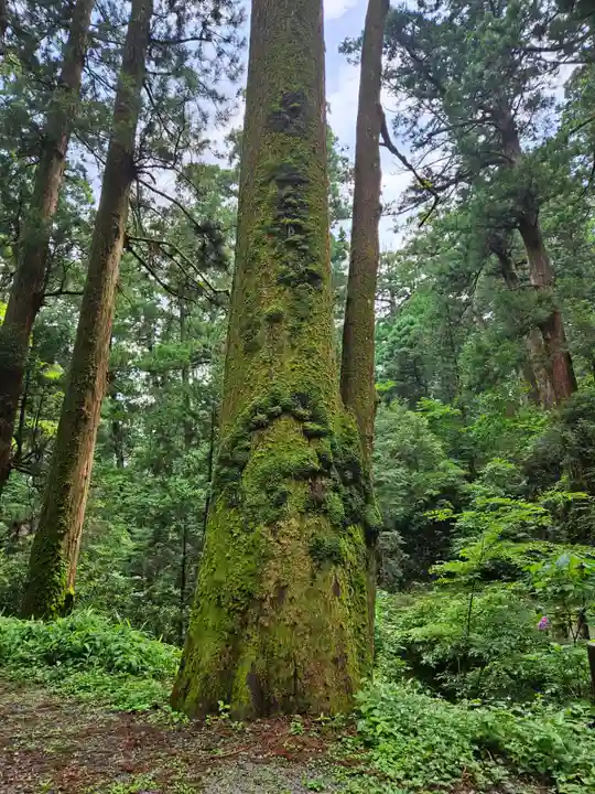 最乗寺(道了尊)(神奈川県)