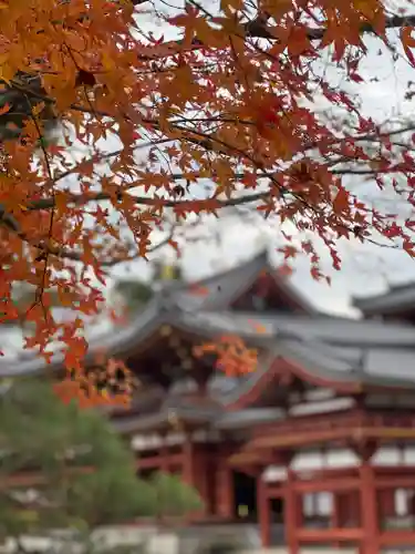 平等院(京都府)