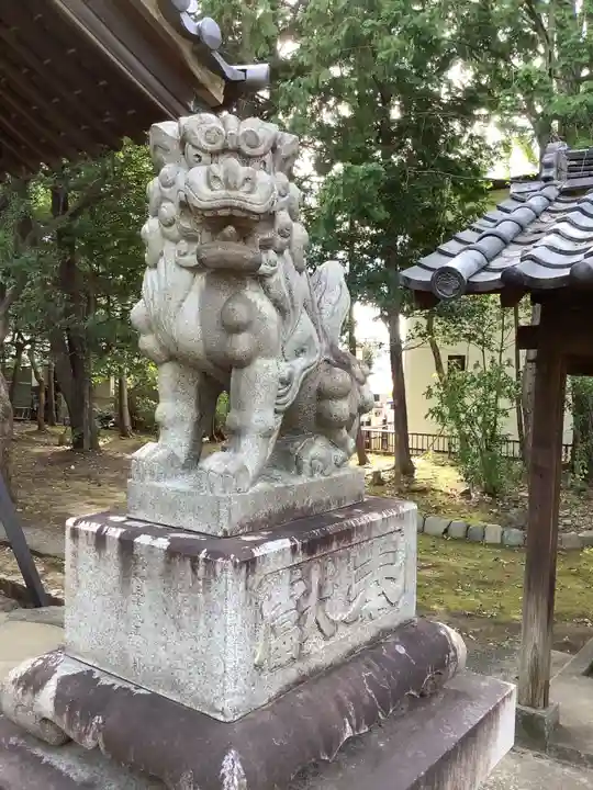 神明社(鳥居松町)の狛犬