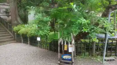 櫻山八幡宮(岐阜県)