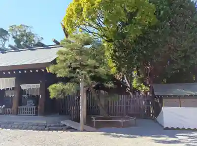 伊勢山皇大神宮(神奈川県)