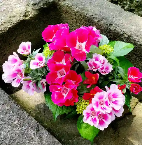 熊野福藏神社の手水舎
