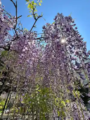白毫寺熊野権現社(兵庫県)