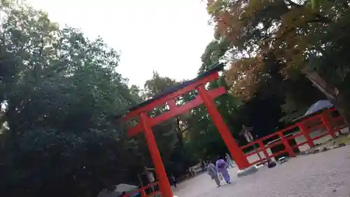 賀茂御祖神社（下鴨神社）(京都府)