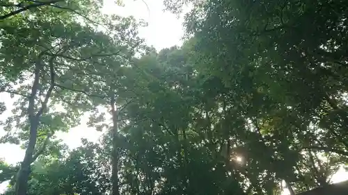 尾張大國霊神社（国府宮）の自然