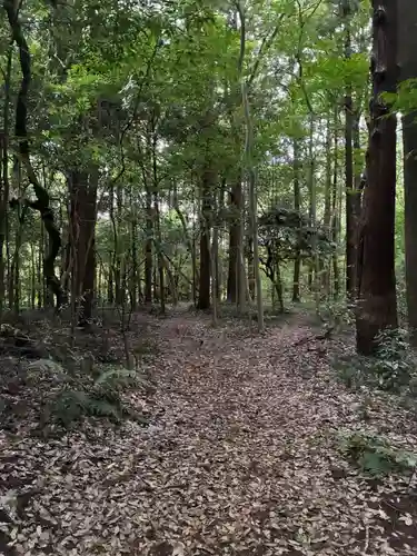 白幡神社(千葉県)