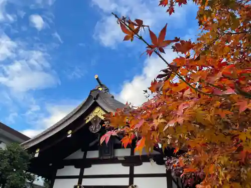 三輪神社の本殿・本堂