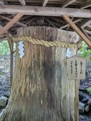 大神神社(奈良県)