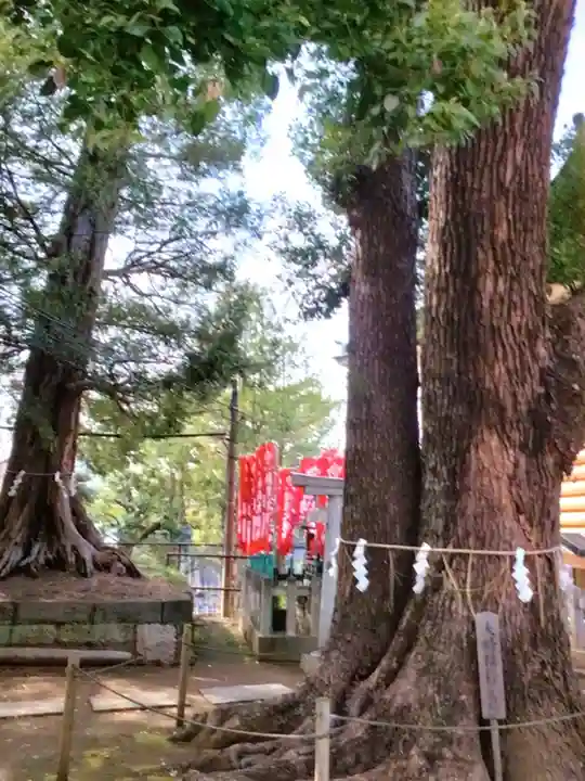 諏訪神社(東京都)