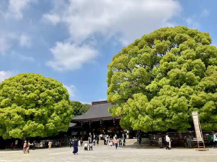 明治神宮(東京都)