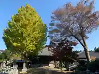 東泉寺(千葉県)